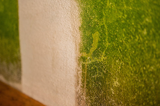 Impaguard 201 FORTE - Čistič a odstraňovač bio znečištění/biofilmu - BEZ OBSAHU CHLORU - koncentrát