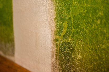 Impaguard 201 FORTE - Čistič a odstraňovač bio znečištění/biofilmu - BEZ OBSAHU CHLORU - koncentrát